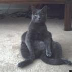 Mark Vasil:Here is Otis.