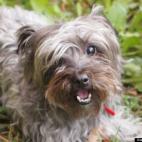 SsarahloatT:Our sweet little nutkin.