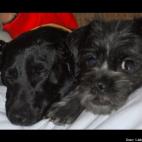 Lisbeth Echeandia:Just hanging out.