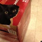 Chacha50:Check out my new ride!