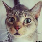 Ade Az Zambrano:Mauro is a curious boy :)