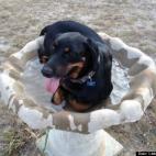 Lisbeth Echeandia:So,told you I wanted a pool!