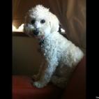 yeahthatgirl:My Teddy :-)