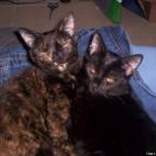 Samantha105:Mother and daughter bonding!