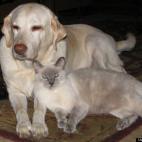 cberry1420:Best Buddies!