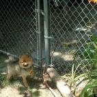 Sam Liles:just got my summer cut, feelin' cool