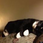 Ashley McCoy:Why yes, she IS silly.