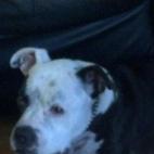 Alekxi:Sausage loves bacon. Who can blame him ?