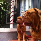 Geraldo Arriaga:Best Wishes this Holiday!