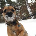 Edvardo:First snow for Ida.