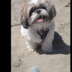 Melgal:Warning! Her cuteness can be too much to handle!