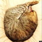 joseignacioas:Speaks for itself