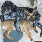 Truth hurts does it not:Friends for life.