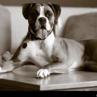 Jean Ann:Who, me? Get off the what?