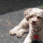 mypointofview58:i'm all about summertime