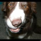 calley jack: abigale lily smiling real pretty!!!