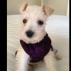 dmmnola:No caption needed