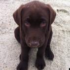 thorny59:Cozy on the beach