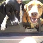 Alan Moudy:It's time for our ride, right?