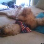 Diane Purcell:Taking relaxation to a whole new level!