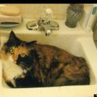 billshaw56:Game Face