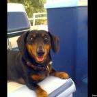 urlovelycolors:I'm a sailor. I sail. Ahoy!