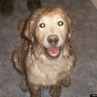 jackaroo1990:she is way too happy with herself