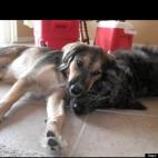 Emilie Rausch:Captured a rare moment of sisterly love.