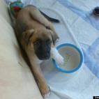 Joya Beebe:Demure little lady with her one white glove...