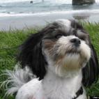 Clemmiesmom:Nature lover, bed stealer, house clown.