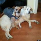 Sylvie Yaacoub:Best seat in the world!