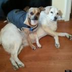 Sylvie Yaacoub:best seat in the world!