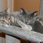 ludo cremers:Sisters and best friends.