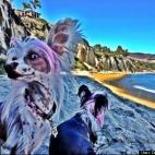 Darin Chambers:River & Sketch Paradise Cove Malibu
