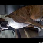 VisionofTomorrow:On his way to play his scratch offs!