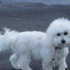 Miriam Curtin:Lizzie girl