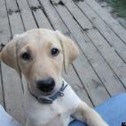 Ruffhowse:My best bud, Charlie