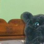 sergeparis75015:Dans la gène ...