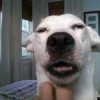 bigmon36:She is cute all of the time.