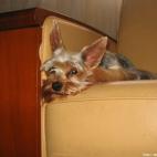 sergeparis75015:Je t'ai à l'oeil mon pote ...