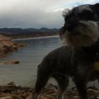 searlait727:Zeke was on his last few days at the pound. I brought him home much to my husband's ire. Now Zeke is his dog!