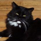 shpilkas:Love makes a family