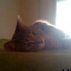 Tori Sidenstricker:bathing in the sun