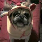 Antonia Maestre:Merry Christmas to all!