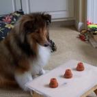 rfcfly:Lucy ponders The Old Shell Game