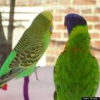 Scoop from the Coop:People let me tell you about my best friend.....