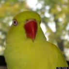 Scoop from the Coop:It's a beautiful morning!