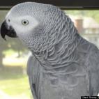 Scoop from the Coop:A birds eye view!