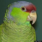 Scoop from the Coop:A true supermodel!