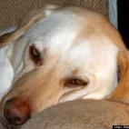 Debi Winter-Blood:"I wasn't sleeping, I was meditating."